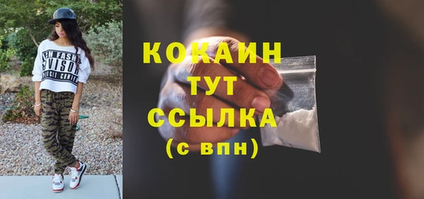 эйфоретик Арсеньев