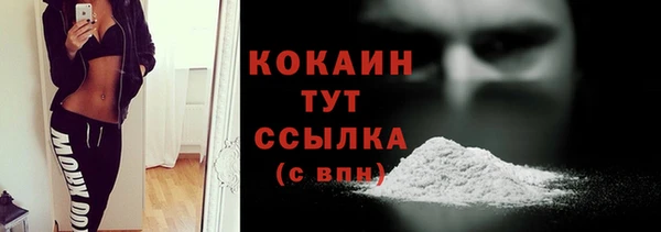 эйфоретик Арсеньев