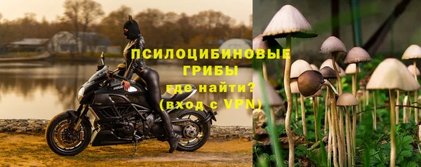 таблы Армянск