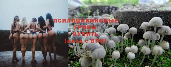 таблы Армянск