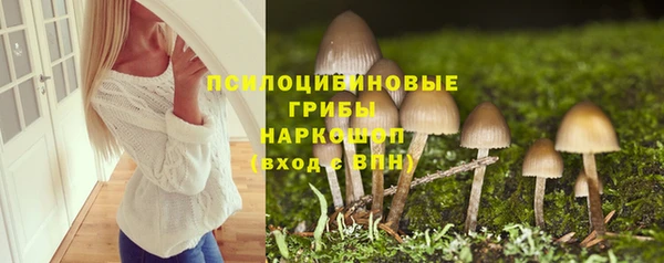 спайс Аркадак