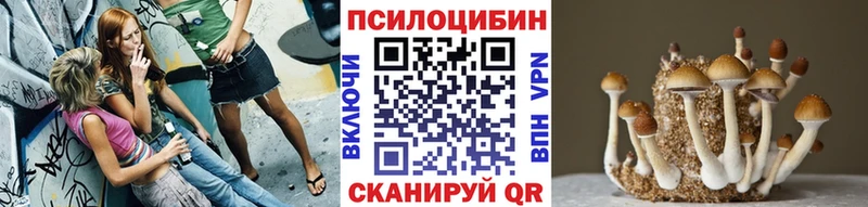 Псилоцибиновые грибы прущие грибы  купить закладку  Сухой Лог 